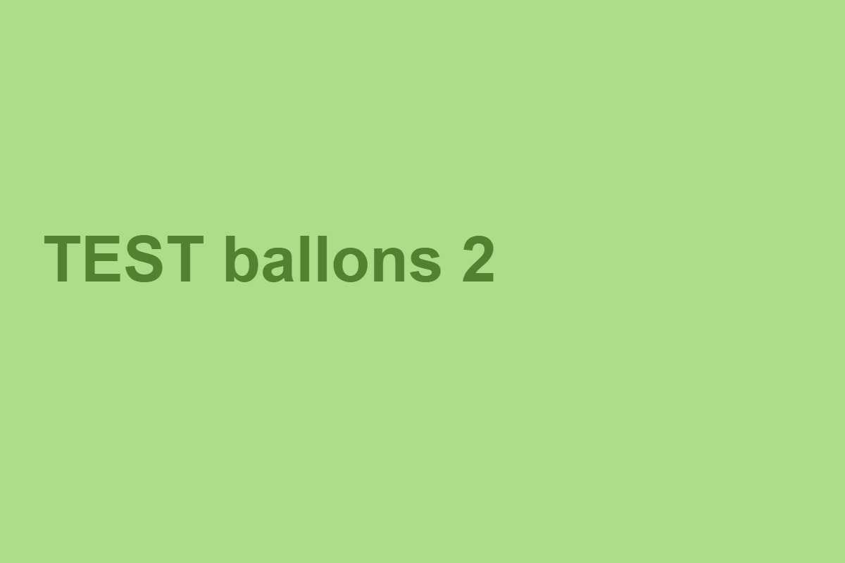 Sculpteur de ballons (test)